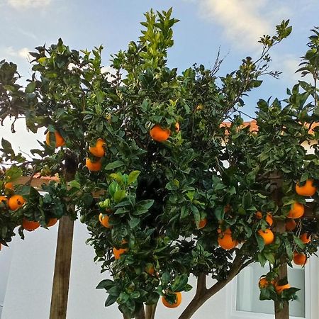 Gafanha da Boa Hora Perto Do Mar, Alojamento Local מראה חיצוני תמונה
